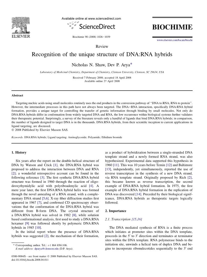 Recognition of the Unique Structure of DNA:RNA Hybrids