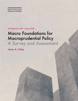 Macro Foundations for Macroprudential Policy: a Survey and Assessment