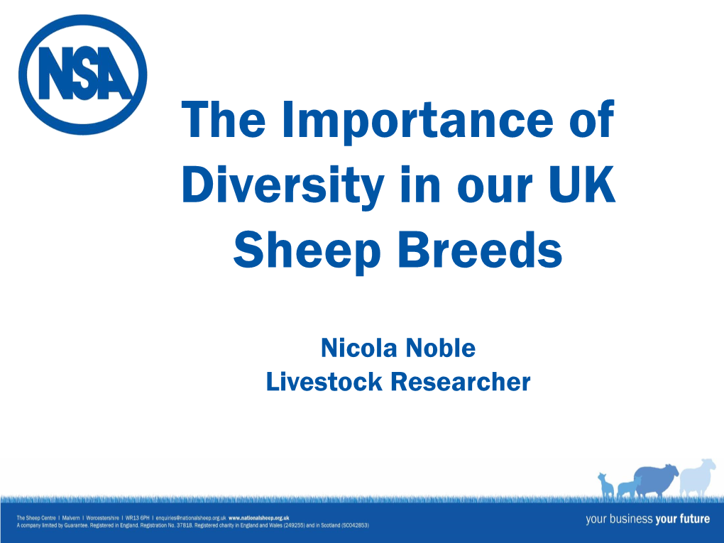 The Importance of Diversity in Our UK Sheep Breeds