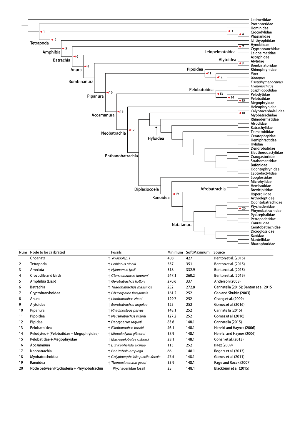 Figure S1 ML Tree 164 SP