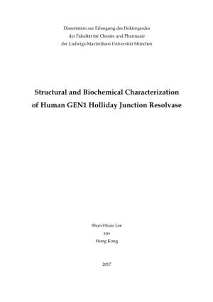 Structural and Biochemical Characterization of Human GEN1 Holliday Junction Resolvase