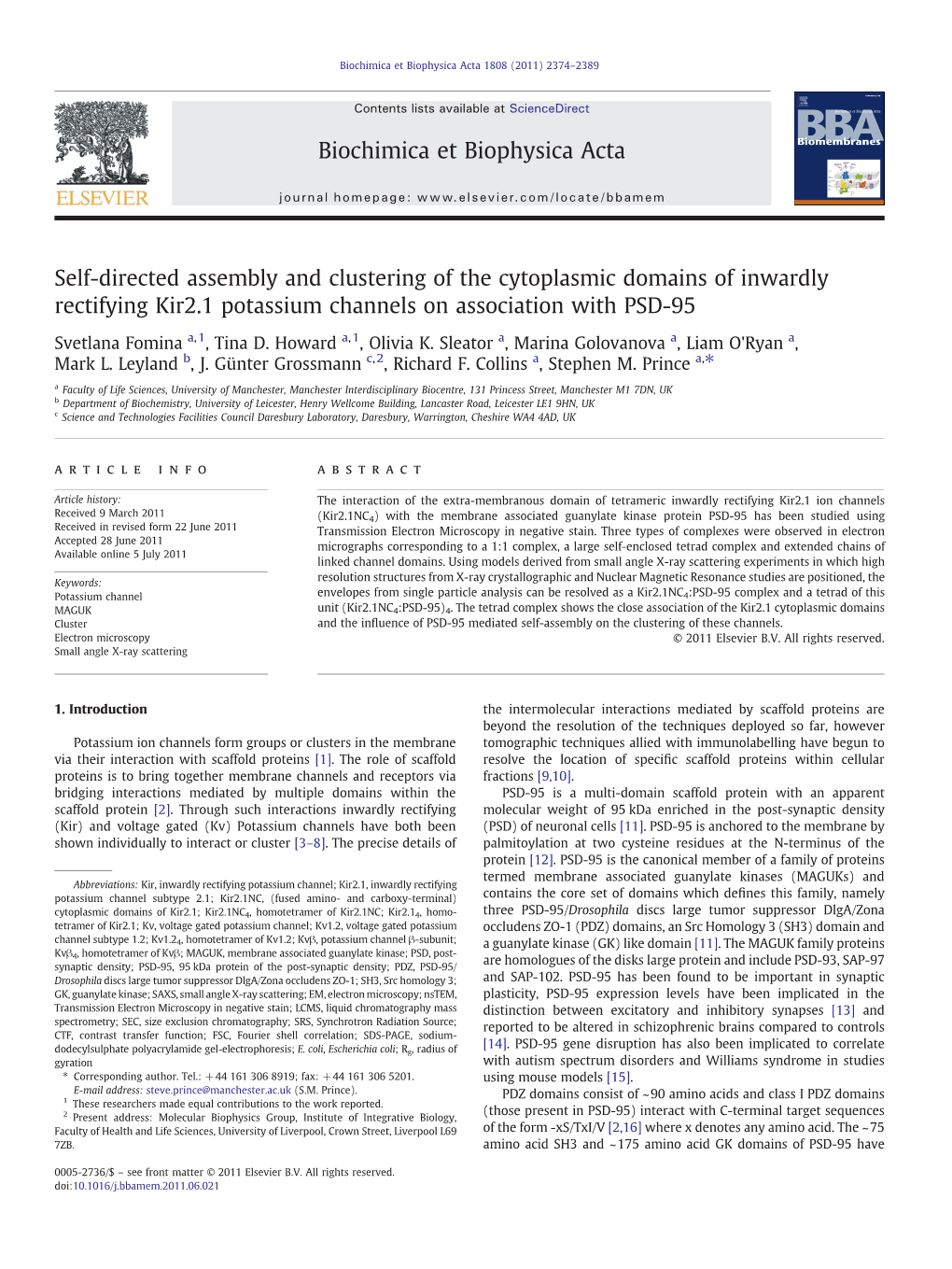 Self-Directed Assembly and Clustering of the Cytoplasmic Domains of Inwardly Rectifying Kir2.1 Potassium Channels on Association with PSD-95