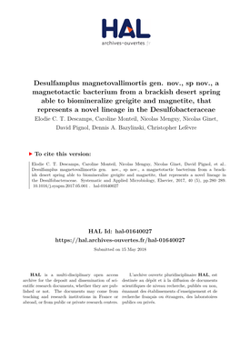 Desulfamplus Magnetovallimortis Gen. Nov., Sp Nov., a Magnetotactic