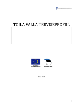 Toila Valla Terviseprofiil