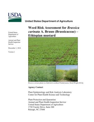Weed Risk Assessment for Brassica Carinata A. Braun (Brassicaceae)