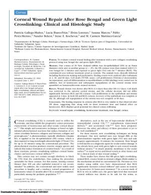 Corneal Wound Repair After Rose Bengal and Green Light Crosslinking: Clinical and Histologic Study