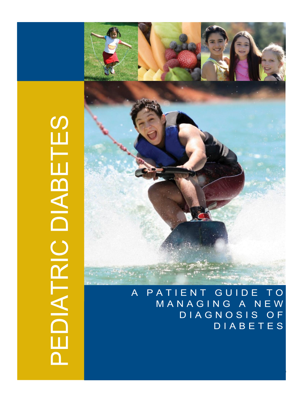 Download Pediatric Diabetes Handbook (PDF)