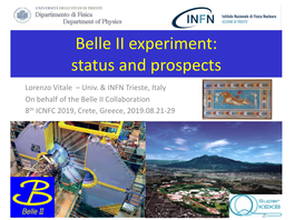 Belle II Experiment: Status and Prospects