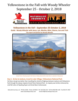 Yellowstone in the Fall with Woody Wheeler September 25 - October 2, 2018