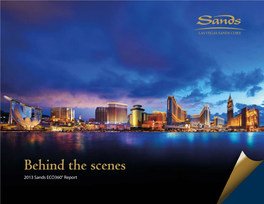 2013 Sands ECO360 Annual Report