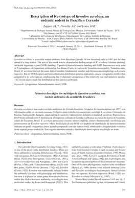 Description of Karyotype of Kerodon Acrobata, an Endemic Rodent in Brazilian Cerrado