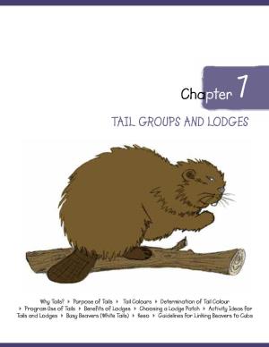 Busy Beavers (White Tails) 4 Keeo 4 Guidelines for Linking Beavers to Cubs WHY TAILS?