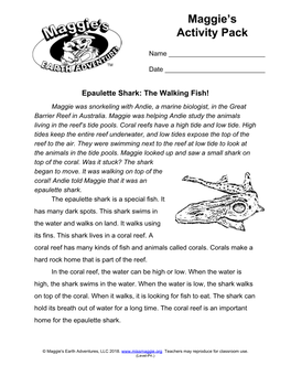 Epaulette Shark: the Walking Fish!