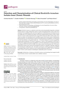 Detection and Characterization of Clinical Bordetella Trematum Isolates from Chronic Wounds