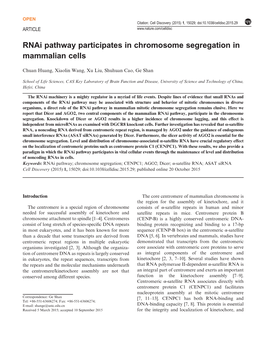 Rnai Pathway Participates Into Chromosome Segregation In