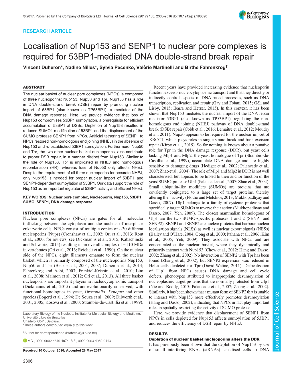 Localisation of Nup153 and SENP1 to Nuclear Pore Complexes Is Required for 53BP1-Mediated DNA Double-Strand Break Repair