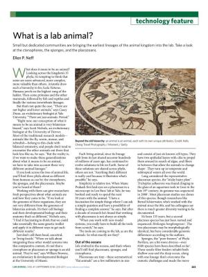 What Is a Lab Animal? Small but Dedicated Communities Are Bringing the Earliest Lineages of the Animal Kingdom Into the Lab
