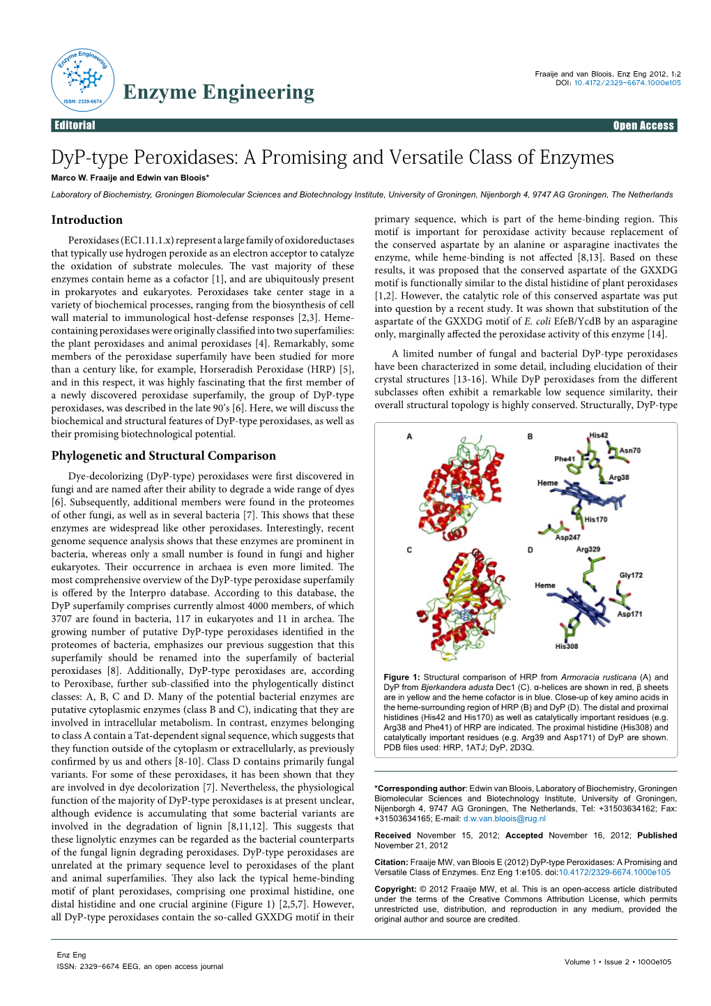 Dyp-Type Peroxidases: a Promising and Versatile Class of Enzymes Marco W