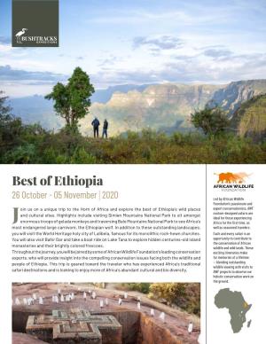 Best of Ethiopia