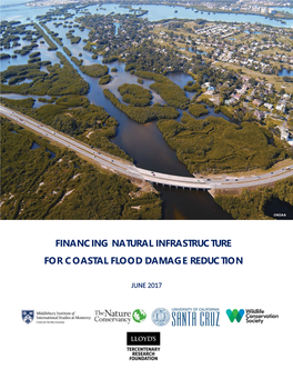 Financing Natural Infrastructure for Coastal Flood Damage Reduction
