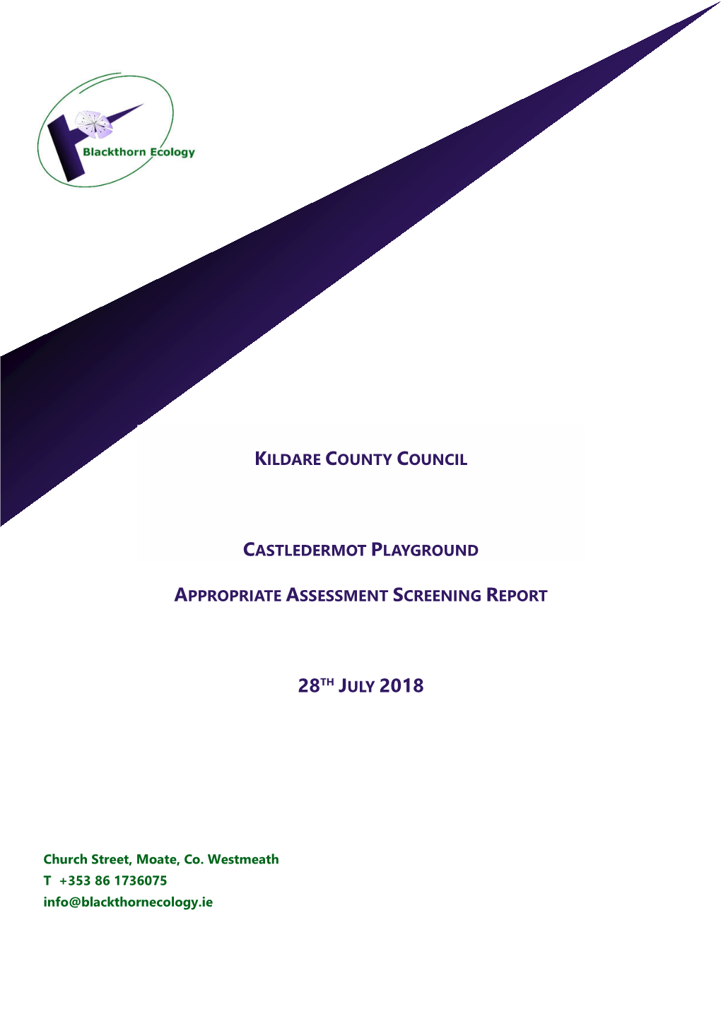 Kildare County Council Castledermot Playground Appropriate Assessment Screening Report 28Th July 2018