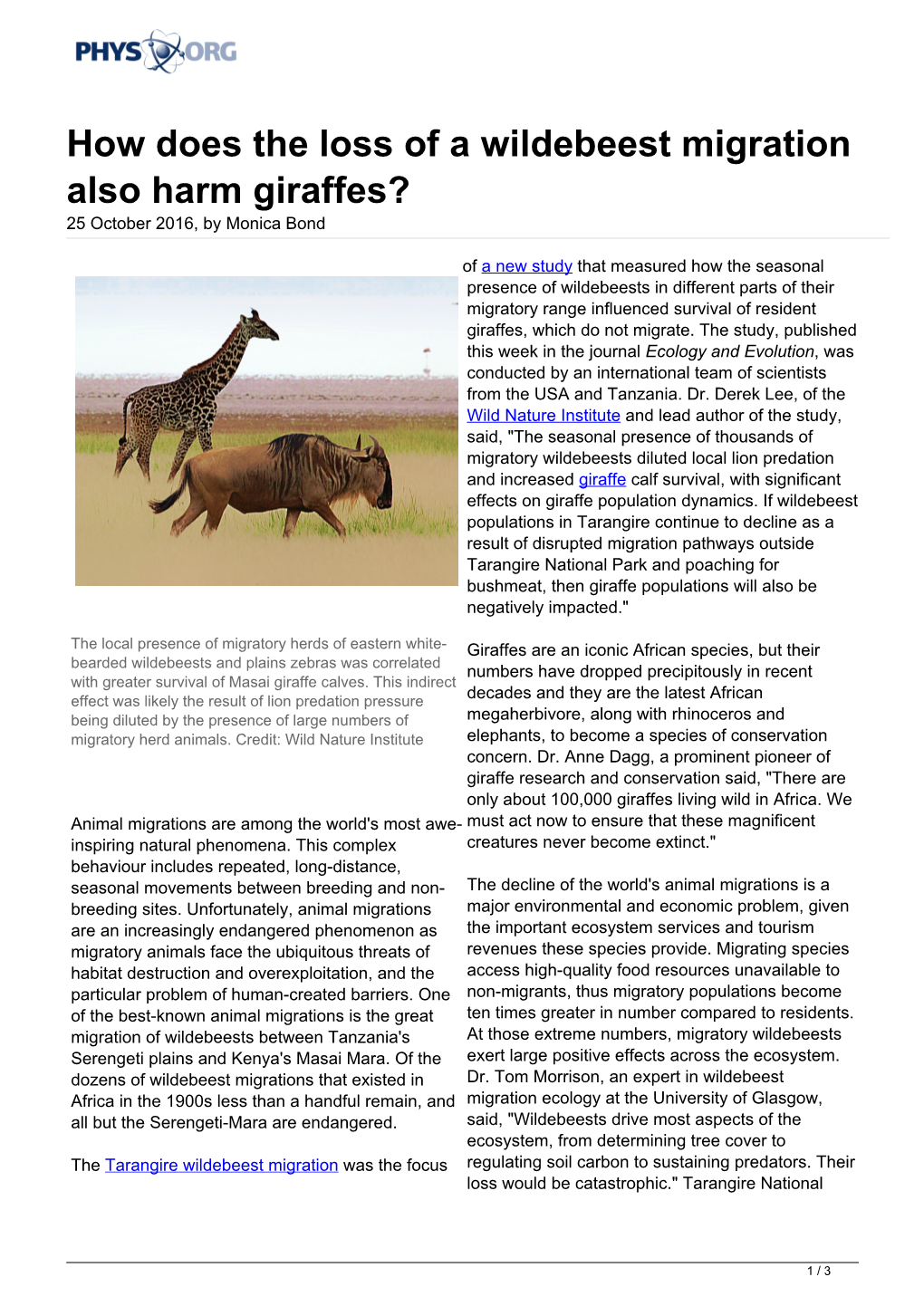 How Does the Loss of a Wildebeest Migration Also Harm Giraffes? 25 October 2016, by Monica Bond