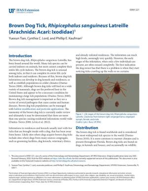 Brown Dog Tick, Rhipicephalus Sanguineus Latreille (Arachnida: Acari: Ixodidae)1 Yuexun Tian, Cynthia C