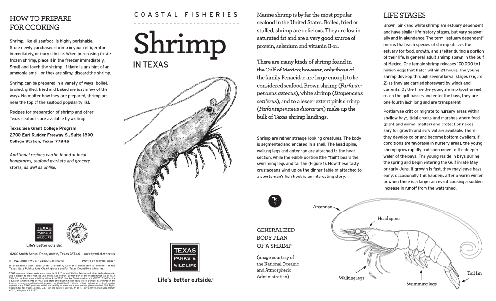 Shrimp Is by Far the Most Popular LIFE STAGES HOW to PREPARE Seafood in the United States