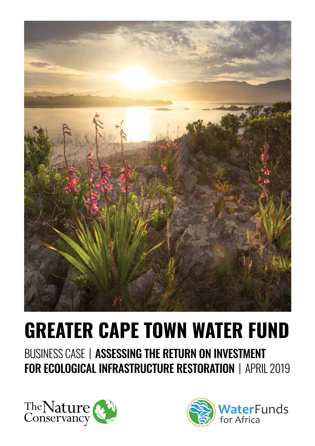 Greater Cape Town Water Fund Business Case | Assessing the Return on Investment for Ecological Infrastructure Restoration | April 2019