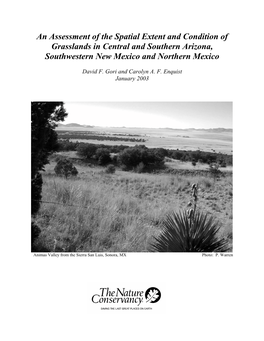 An Assessment of the Spatial Extent and Condition of Grasslands in Central and Southern Arizona, Southwestern New Mexico and Northern Mexico