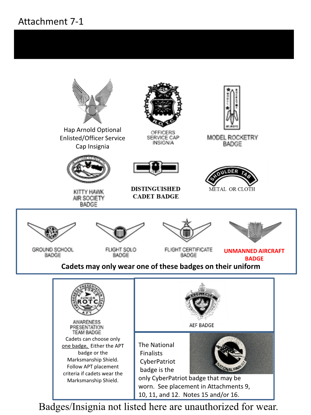 AUTHORIZED AIR FORCE JROTC BADGES and INSIGNIA Badges