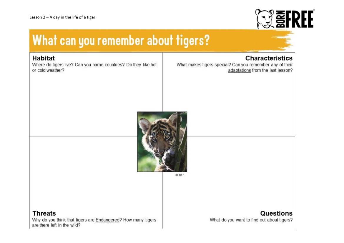 Lesson 2 – a Day in the Life of a Tiger