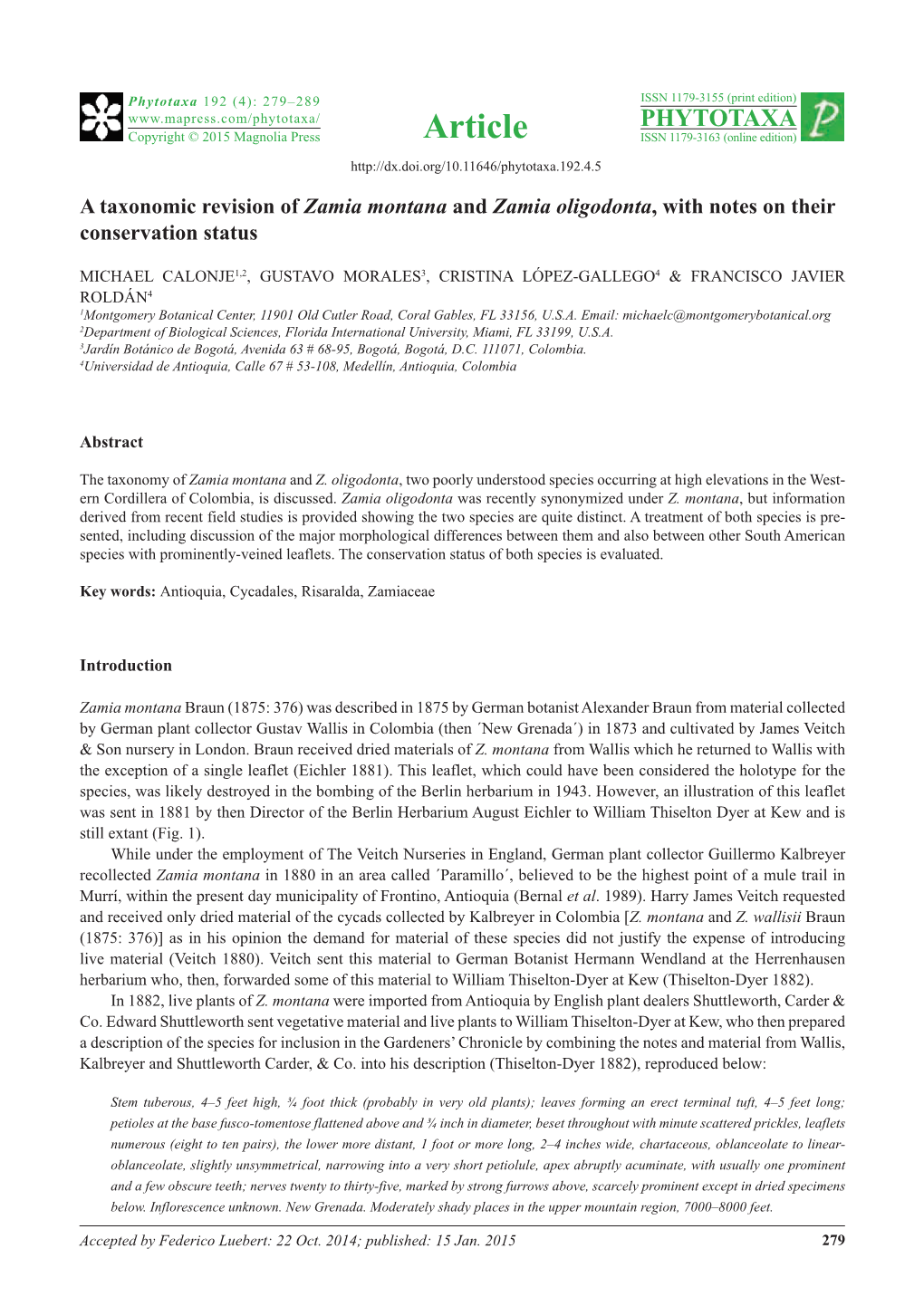 A Taxonomic Revision of Zamia Montana and Zamia Oligodonta, with Notes on Their Conservation Status