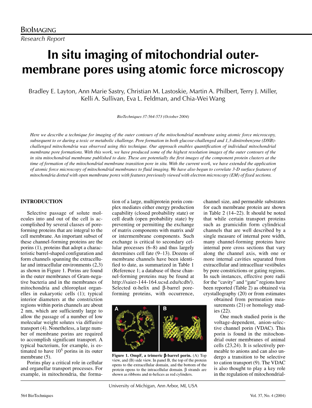 In Situ Imaging of Mitochondrial Outer- Membrane Pores Using Atomic Force Microscopy