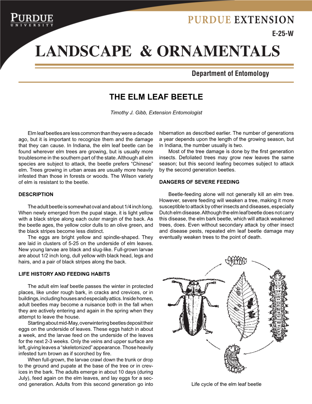 Landscape & Ornamentals: the Elm Leaf Beetle