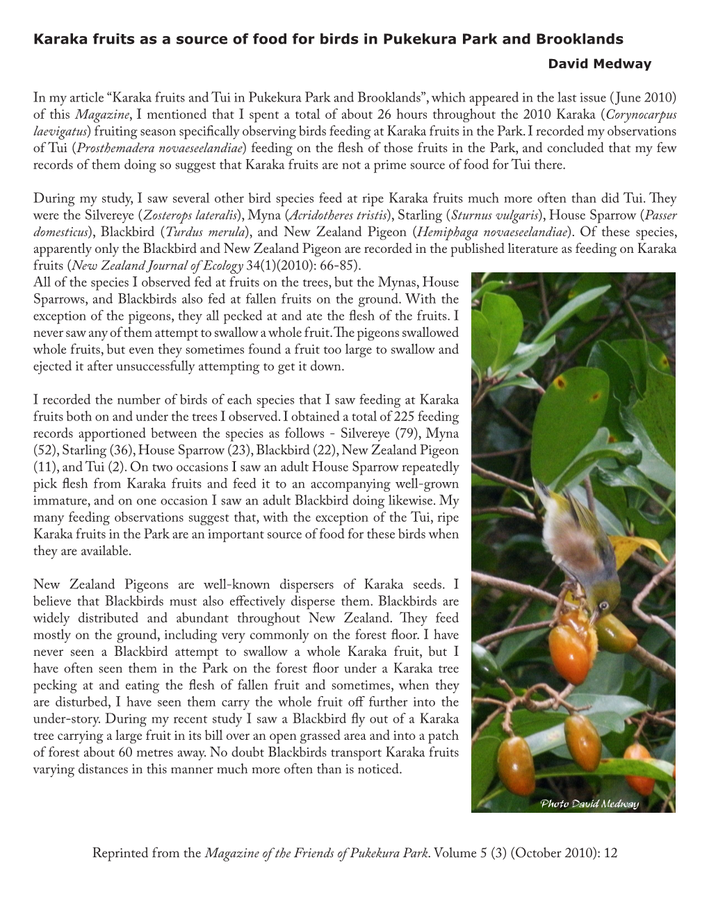 Karaka Fruits As a Source of Food for Birds in Pukekura Park and Brooklands David Medway