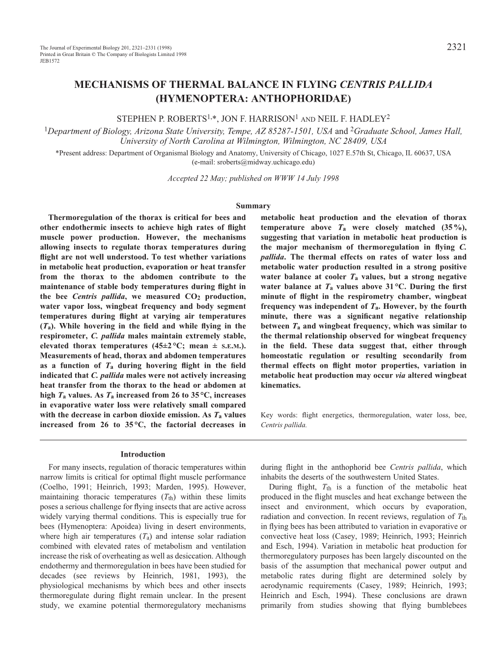 Mechanisms of Thermal Balance in Flying Centris Pallida (Hymenoptera: Anthophoridae)