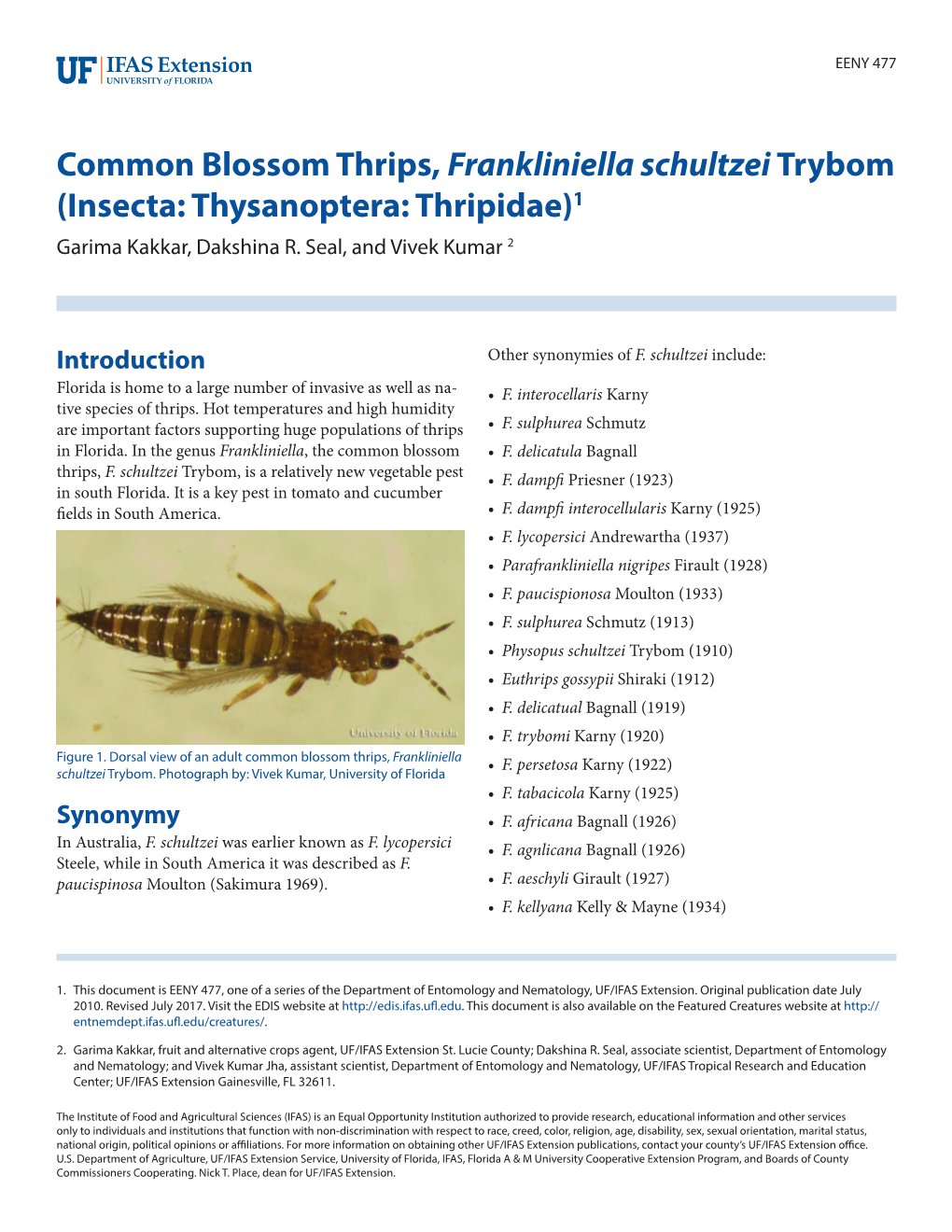 Common Blossom Thrips, Frankliniella Schultzei Trybom (Insecta: Thysanoptera: Thripidae)1 Garima Kakkar, Dakshina R