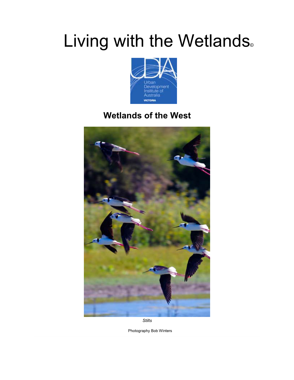 Living with the Wetlands©