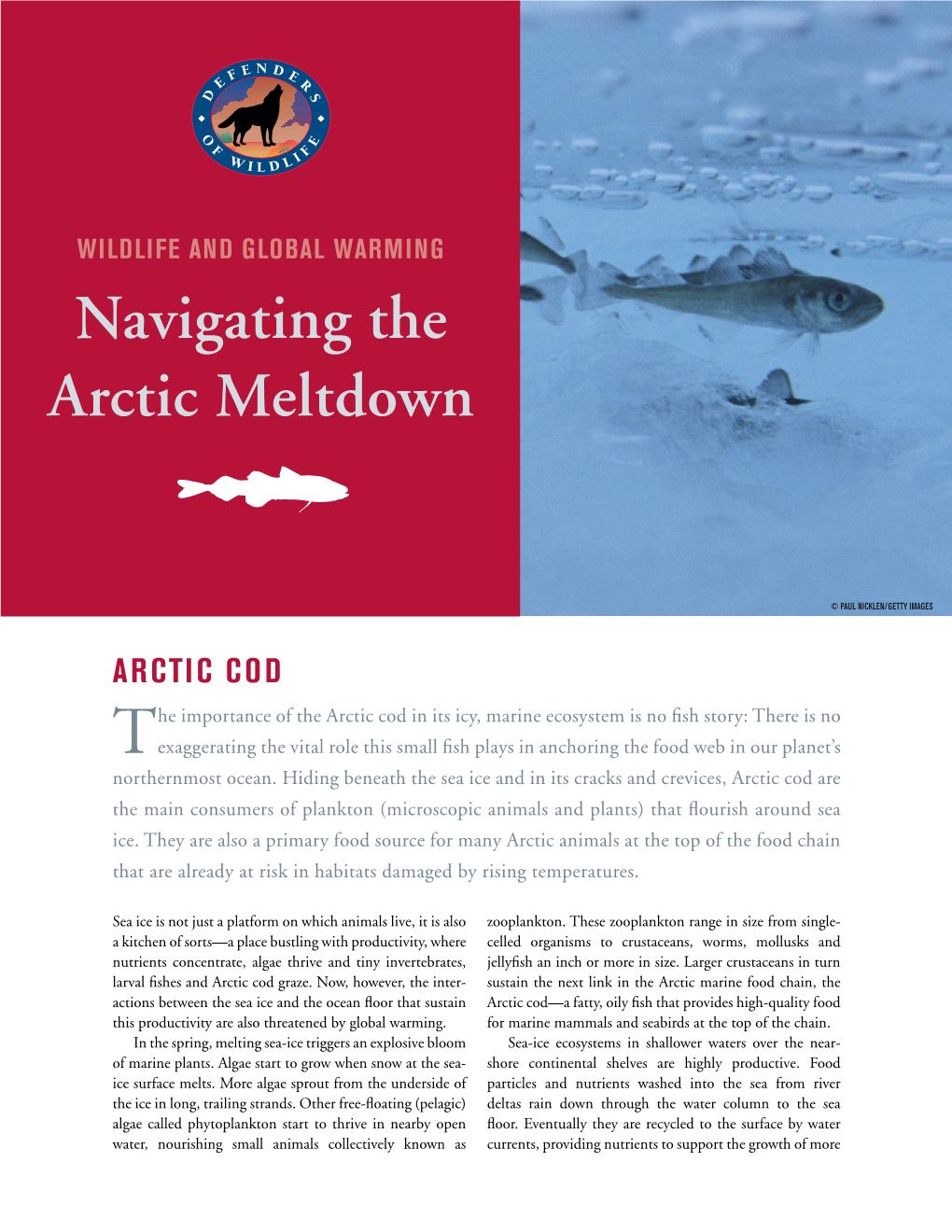 Navigating the Arctic Meltdown