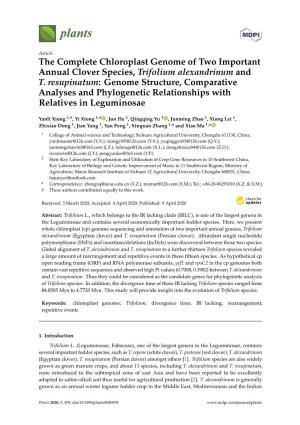 The Complete Chloroplast Genome of Two Important Annual Clover Species, Trifolium Alexandrinum and T. Resupinatum