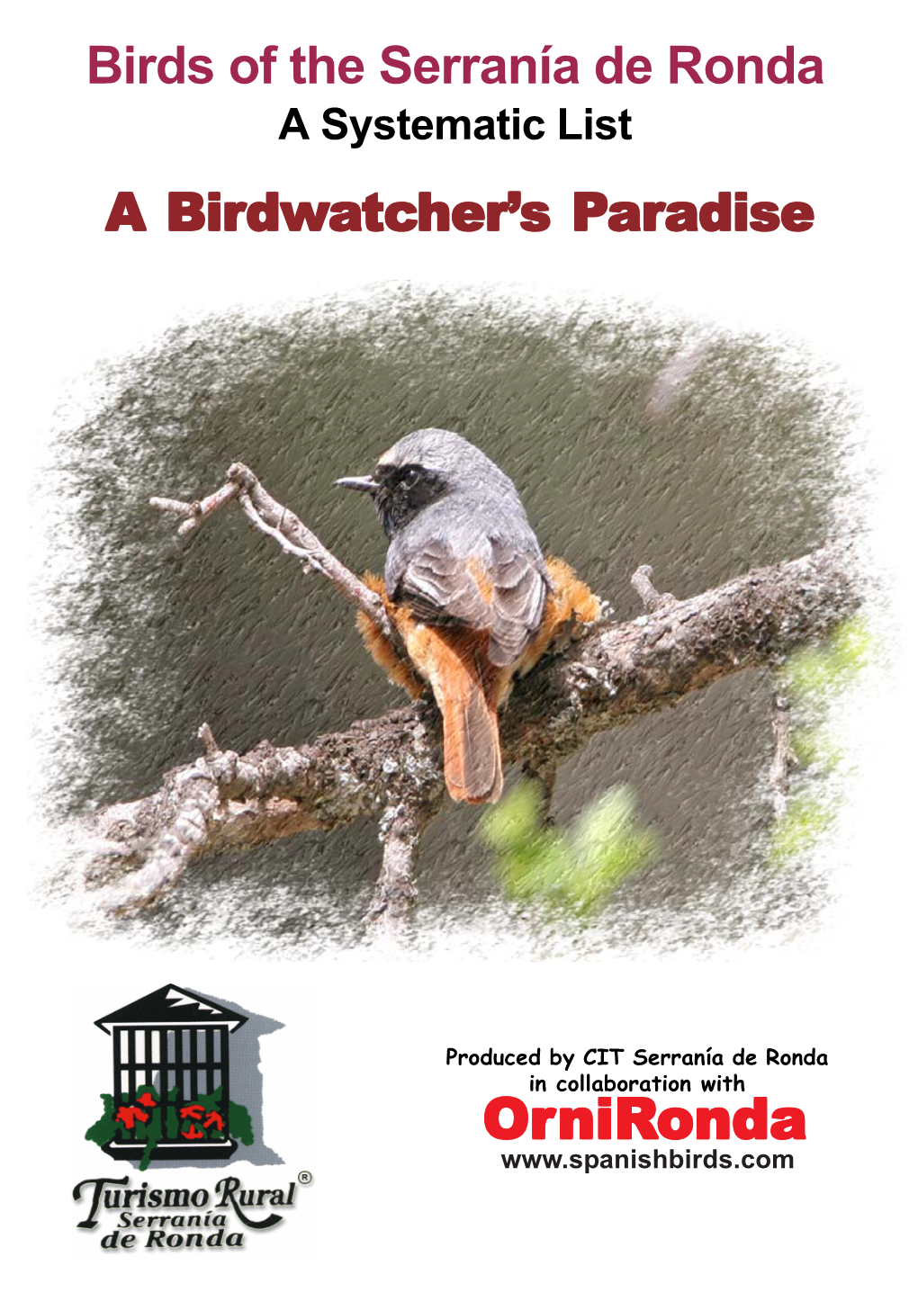 Birdwatchers Paradise.Web