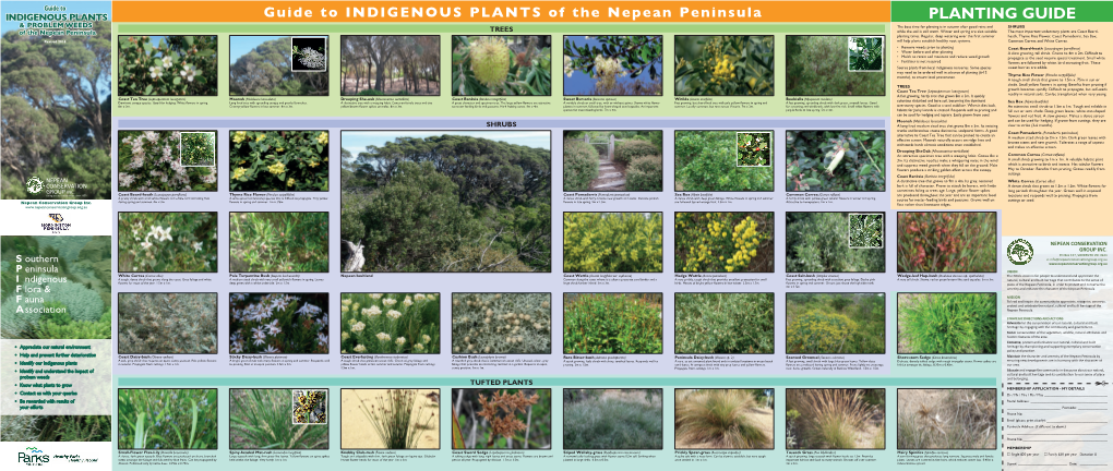 Guide to INDIGENOUS PLANTS of the Nepean Peninsula Point Nepean NEPEAN PENINSULA