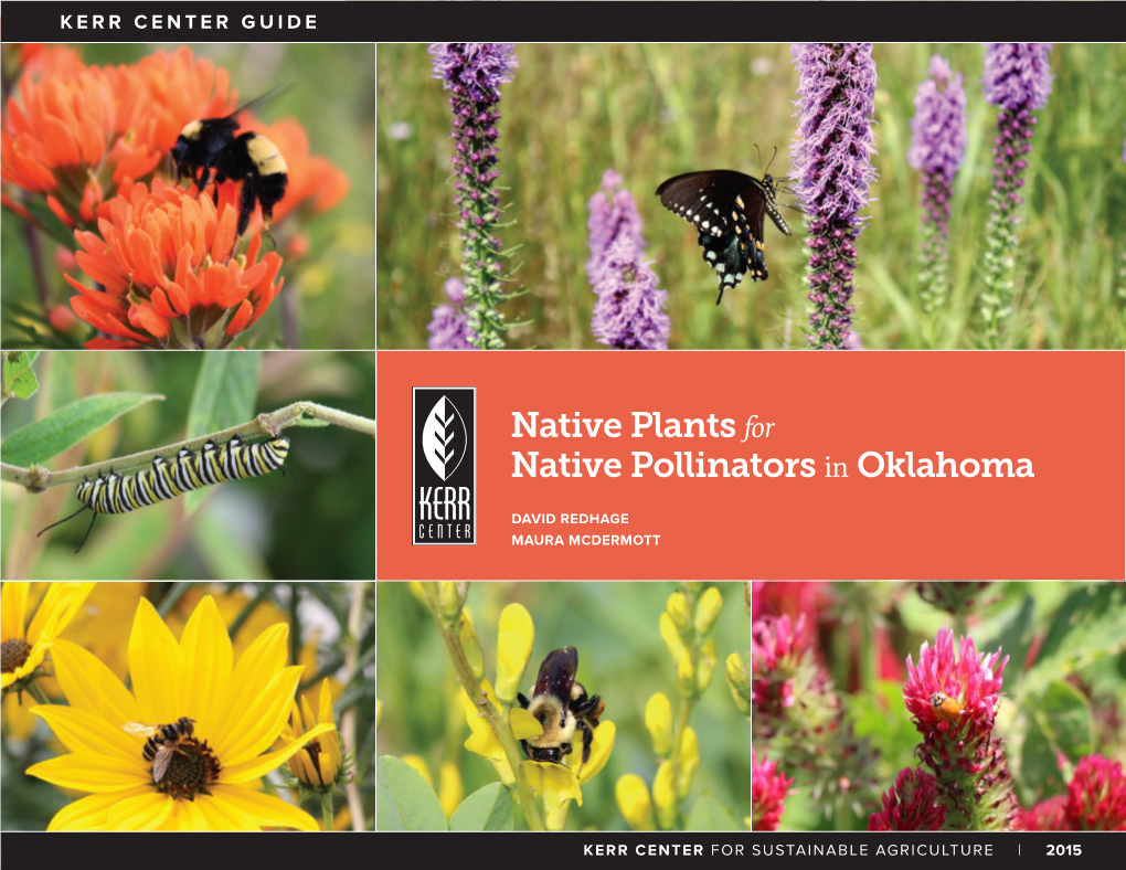 Native Plants for Native Pollinators in Oklahoma