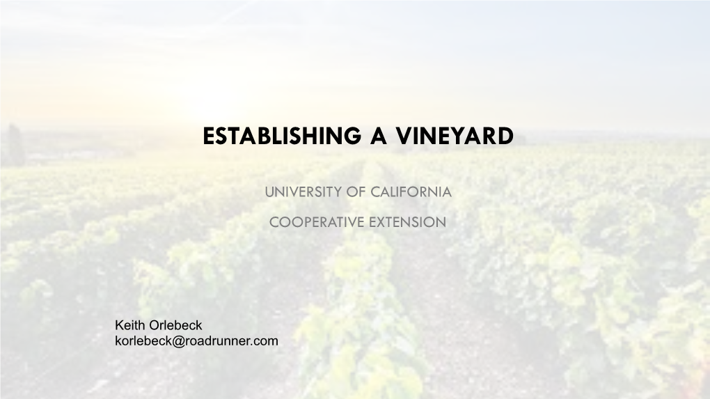 Establishing a Vineyard