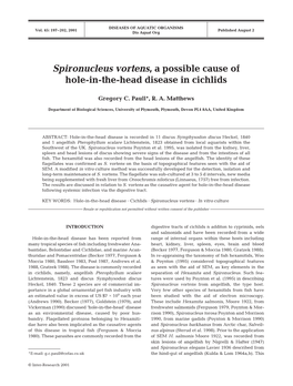 Spironucleus Vortens, a Possible Cause of Hole-In-The-Head Disease in Cichlids