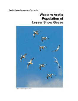 Pacific Flyway Management Plan for The
