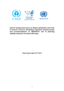 Experts' Background Report on Illegal Exploitation and Trade in Natural