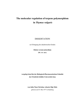 The Molecular Regulation of Terpene Polymorphism in Thymus Vulgaris