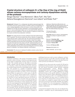 Crystal Structure of Cathepsin X: a Flip–Flop of the Ring of His23